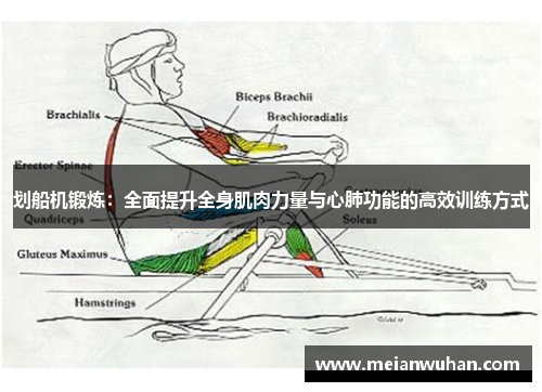 划船机锻炼：全面提升全身肌肉力量与心肺功能的高效训练方式