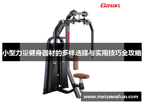 小型力量健身器材的多样选择与实用技巧全攻略