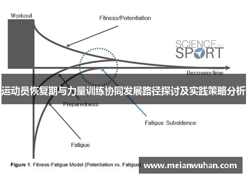 运动员恢复期与力量训练协同发展路径探讨及实践策略分析