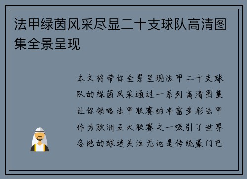法甲绿茵风采尽显二十支球队高清图集全景呈现